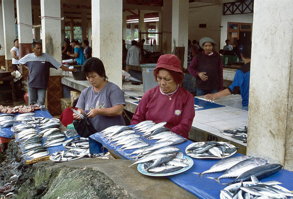 Vrouwelijke visverkopers bieden hun koopwaar aan