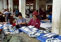 Vrouwelijke visverkopers bieden hun koopwaar aan