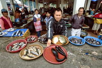 Zoetwatervis aangeboden op de markt